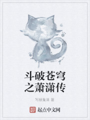 斗破苍穹之萧潇传